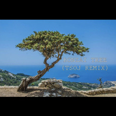 Bonsai Tree - Jersus (The Sounds Of James Remix)