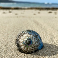 Saltwater Dream Therapy | Ambient Beatless Trance