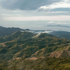 Heaven Knows (This Angel has Flown)