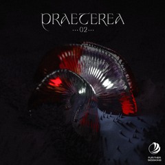 PREMIERE: Save Your Atoll - Blind Runners [Fur:ther Sessions]