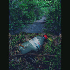 последний пилигрим