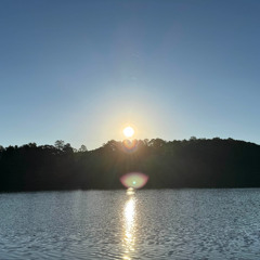 Baby Bird (p.stylite)