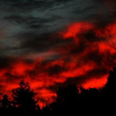 BLOODY SKIES (PROD.MIXEDFOREIGN)