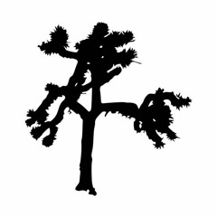 Where The Streets Have No Name (U2 Cover)