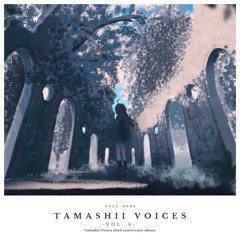 Sunset Paradise【F/C Tamashii Voices Vol. 3】