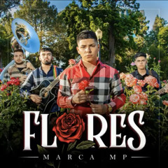 Recuerda - marca mp