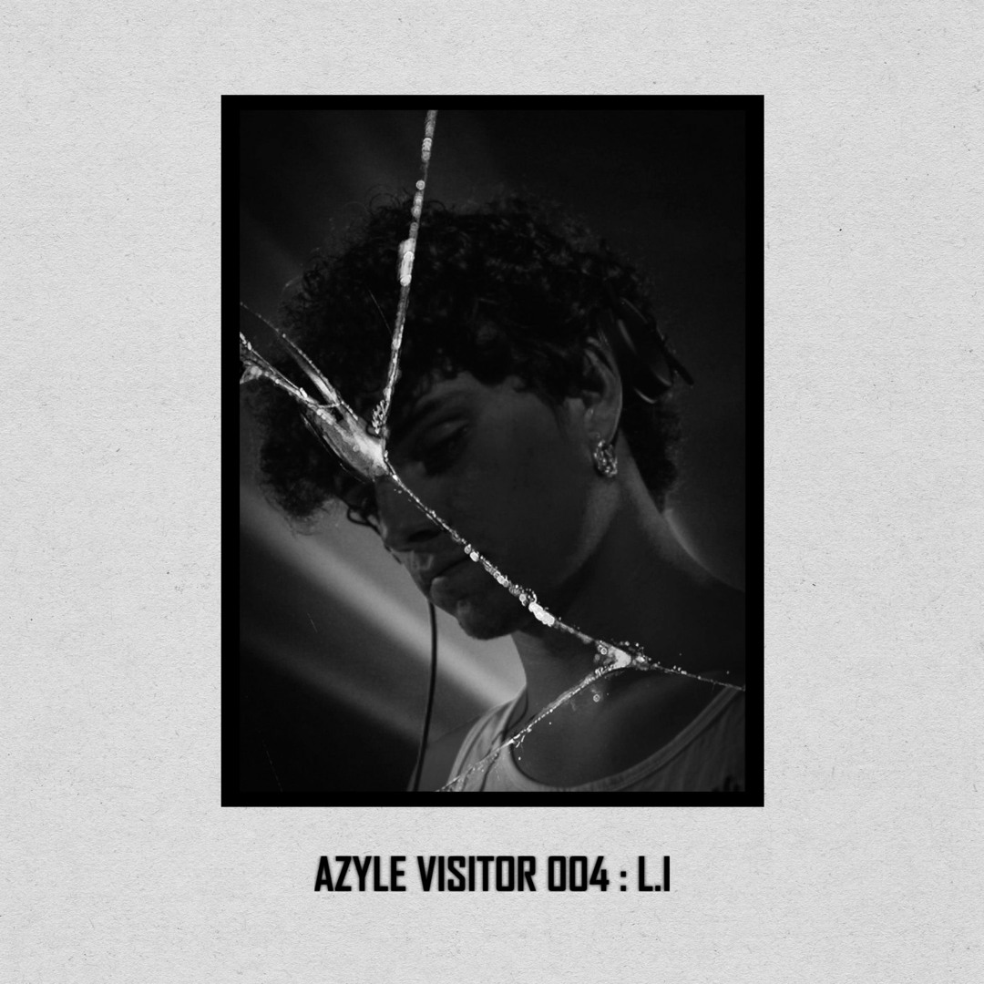 Stream Visitors 004 - L.I : 