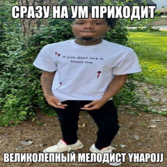 шеф (tylo)