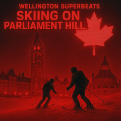 Wellington Superbeats - Skiing On Parliament Hill