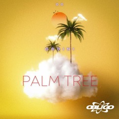 Palm Tree