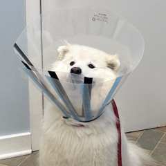 Mindstallschattertalks