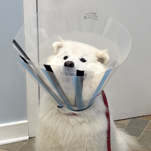 Mindstallschattertalks