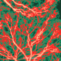 MANZANITA - J Dilla x Knxwledge type beat