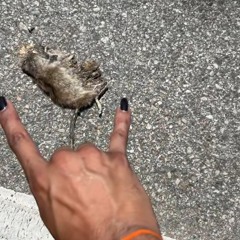 crusifyfreestyle + thraxcat