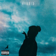 HYBRID