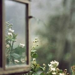 وكلُّ بابٍ وإن طالت مغالِقهُ ..