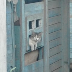 canción con melódica