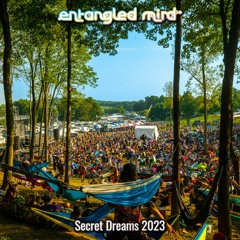 Secret Dreams 2023 Set