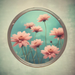 B4ck 4aga1n </Reb00ted>