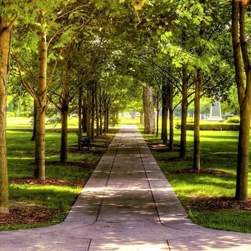 01366 ambient background music FREE DOWNLOAD