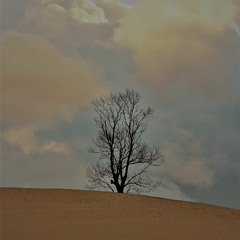 Storm Instru Démo