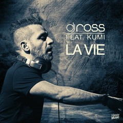 DJ Ross Feat Kumi - La Vie (Owen Mashup) (FILTER)