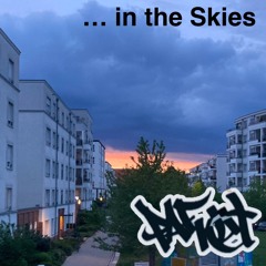 ...in the skies / LDSR 207