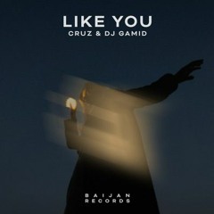 CruZ & DJ Gamid - Like You