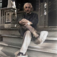 SKIEPULSE -  EINSTEIN