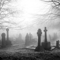 takets2thegrave (pitsearches | bloodbendor)