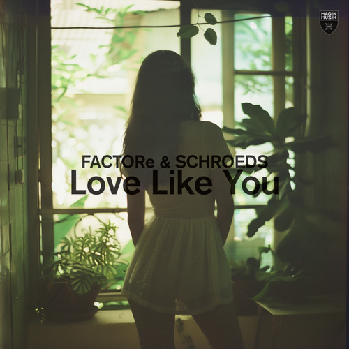 Love Like You (Extended Mix)