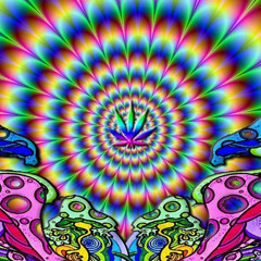Jungle Mix MURF