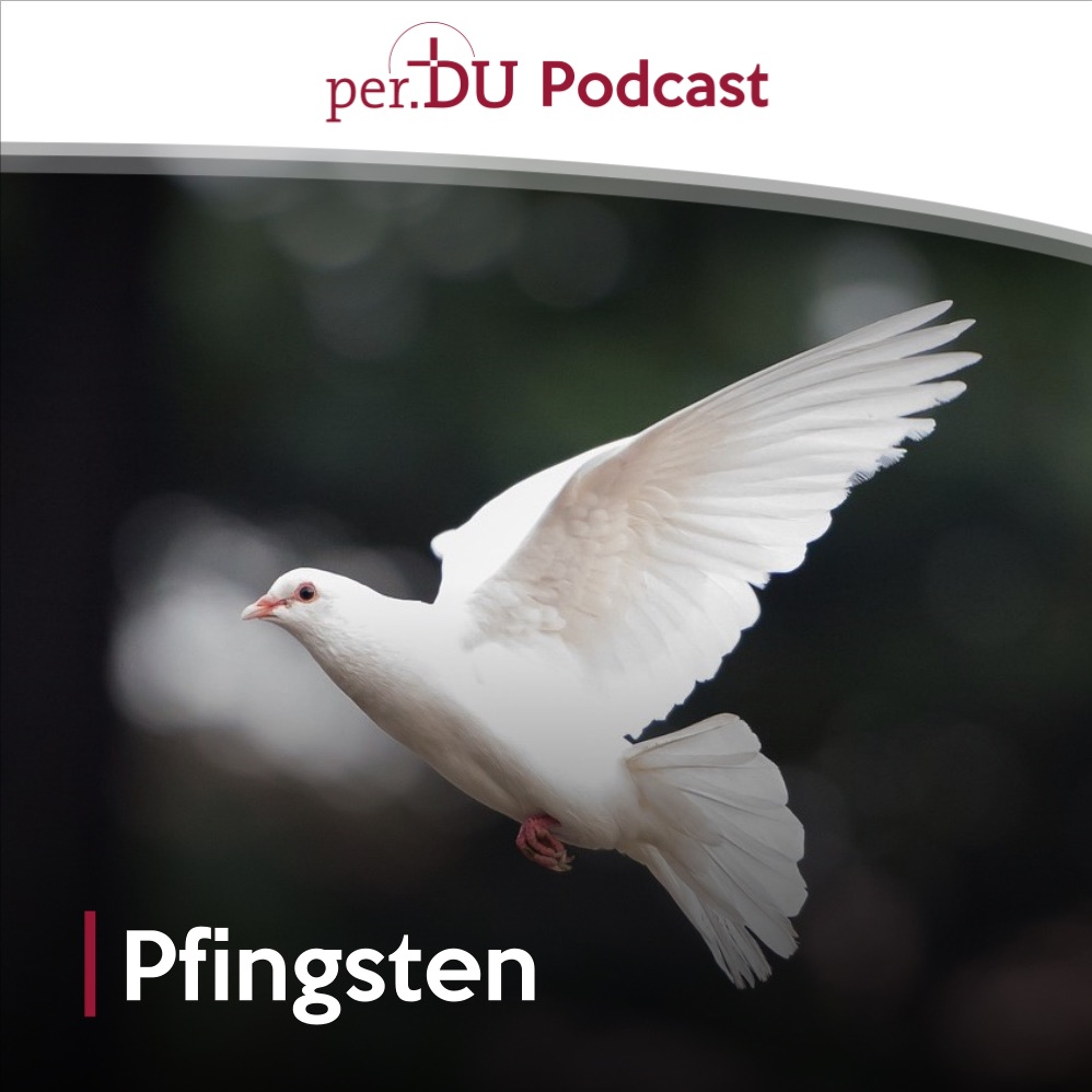 per.DU Podcast