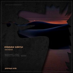 PREMIÈRE: Stephane Salerno - Salvador (Vinzoo Remix) [Zolotaya Orda]
