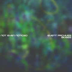 Pins 'N Needles // Event Archives 19.09.25 - NOT EVEN NOTICED