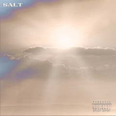 SALT (rough)