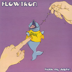 Tickle My Dolphin (Flodub Mix Retickled by Pete Moss)