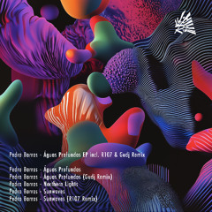 PREMIERE: Pedro Barros - Sunwaves (R107 Remix) [RCV019]