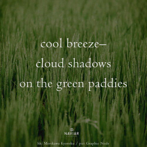 Cloud Shadows - (naviarhaiku - 572)