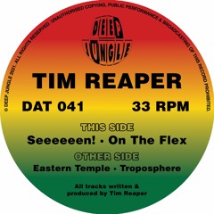 Tim Reaper - Eastern Temple [DAT041] clip