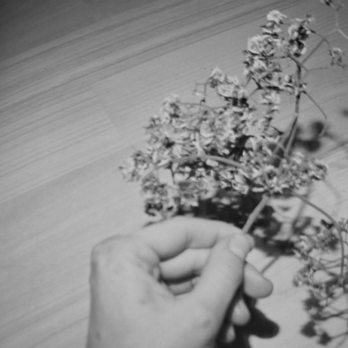 Stream Jour 21, FR, Méditation 21 jours d'abondance ( Deepak
