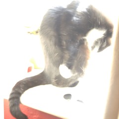 Sad Keys To A Sad Door (WIP)