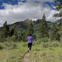 Vipassana Meditation Retreat in BC Rocky Mountains