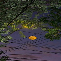 cakeboy - иду к мечте ( s l o w e d + r e v e r b)remix