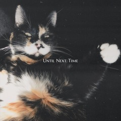 Until Next Time - Hollow Road