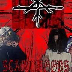 Swampkill777 X Bloody Punk - Scary Woods (Akoge Mix)