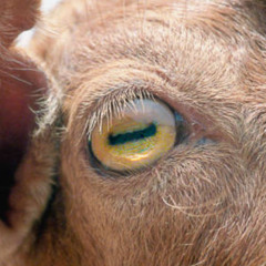 first beat- kinda nervous