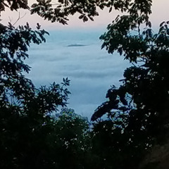 The Thorns in the Rust