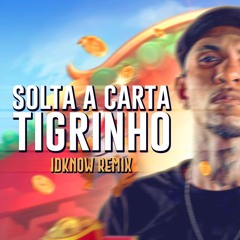 SOLTA A CARTA TIGRINHO (IDKNOW REMIX)