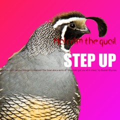 Step up (remix of Bustah Rhyme's "Woo-Hah! got  you all in check")